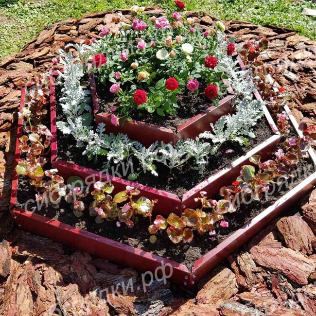 Клумба "Сота" 700 в Петропавловске-Камчатском
