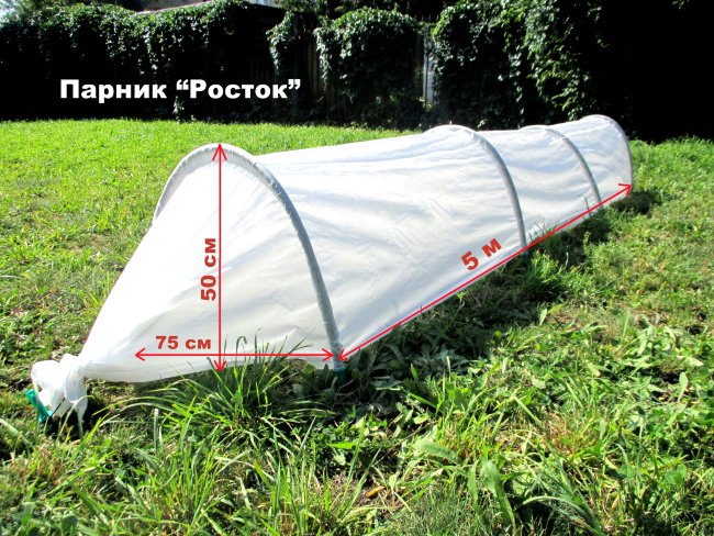 Парник Росток 4х0,5х0,75 м в Петропавловске-Камчатском Парник Росток 4х0,5х0,75 м в Петропавловске-Камчатском