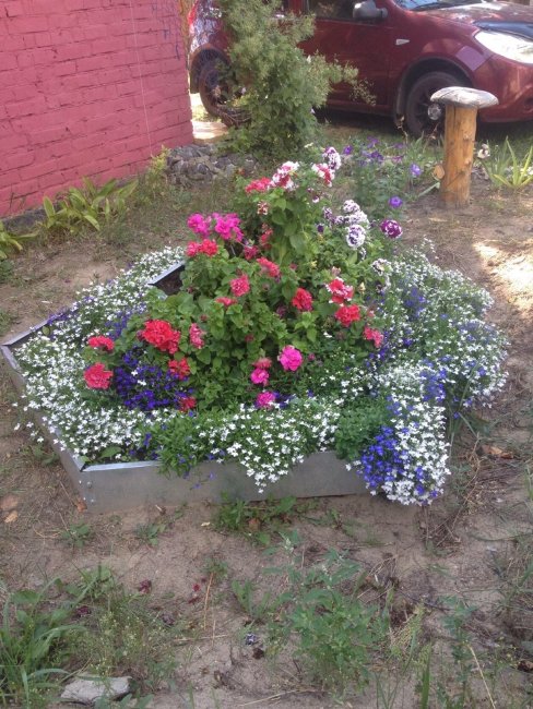 Оцинкованная клумба "Сота" 500 в Петропавловске-Камчатском