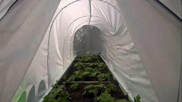 Парник "Огурец-молодец" 3х1,5х1,4м в Петропавловске-Камчатском